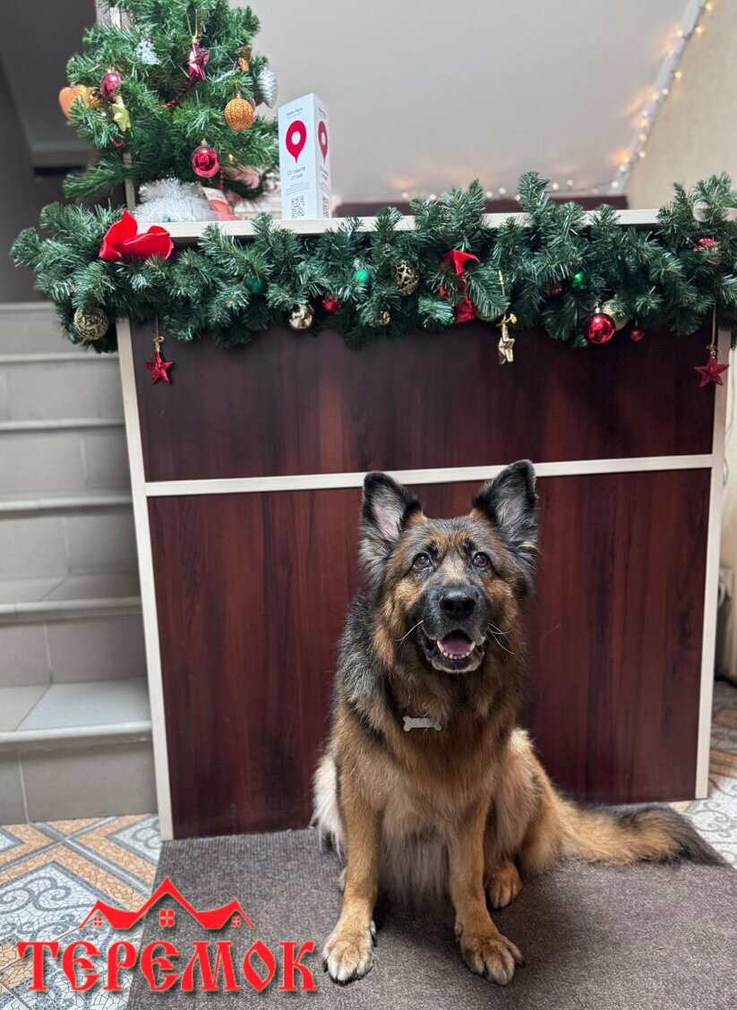 Отель Теремок Московский Тверь-81