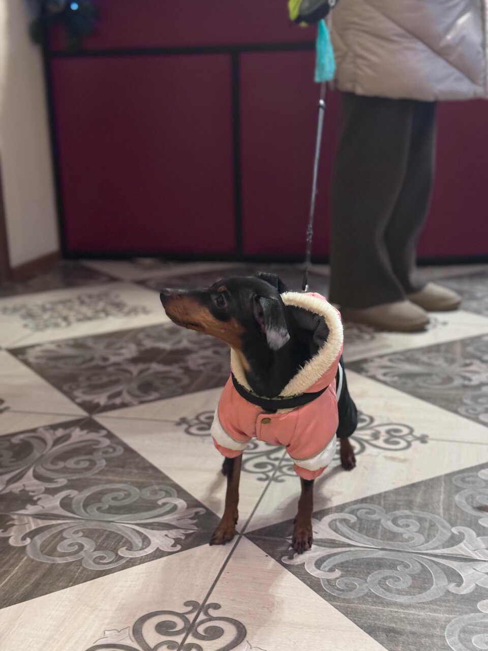 Отель Теремок Московский Тверь-79