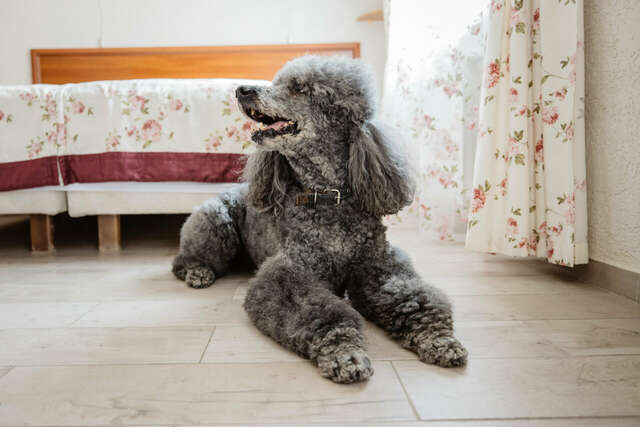 Отель Теремок Московский Тверь-99