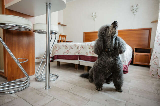 Отель Теремок Московский Тверь-98